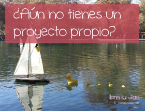 proyecto propio