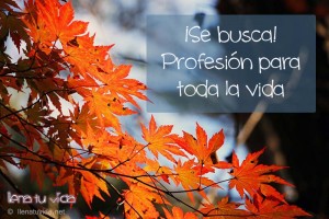 profesion