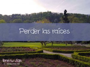 perder las raíces